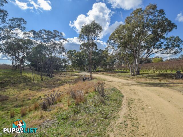 155 Tierneys Road YOUNG NSW 2594