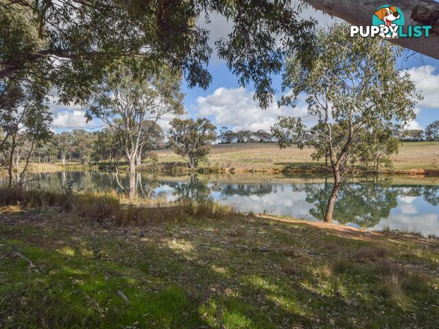 155 Tierneys Road YOUNG NSW 2594