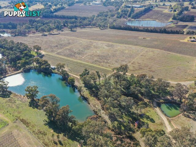 155 Tierneys Road YOUNG NSW 2594