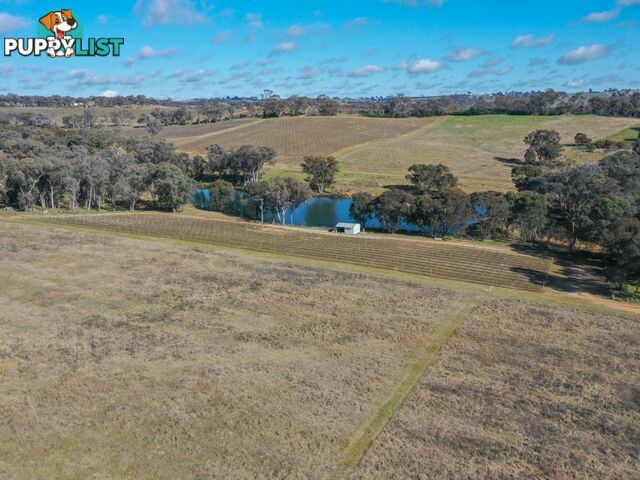 155 Tierneys Road YOUNG NSW 2594