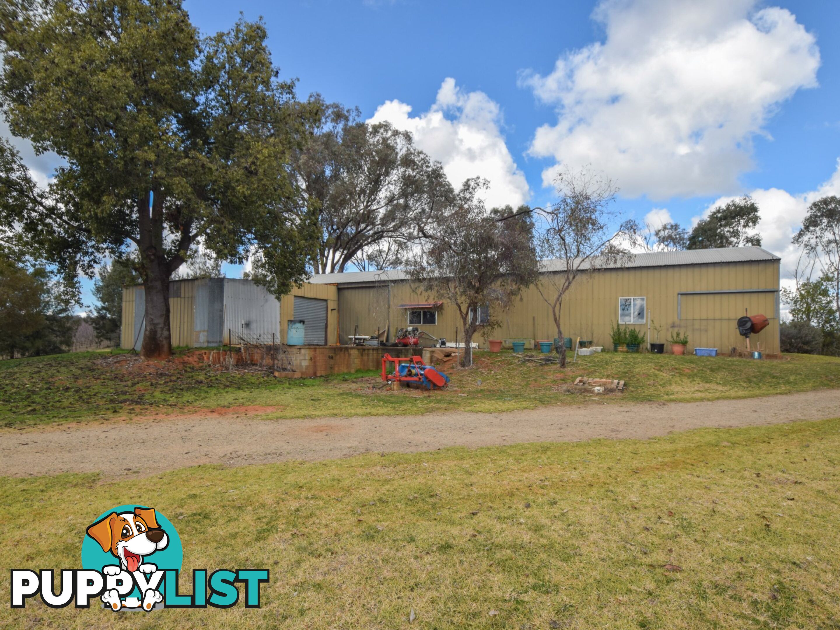 155 Tierneys Road YOUNG NSW 2594