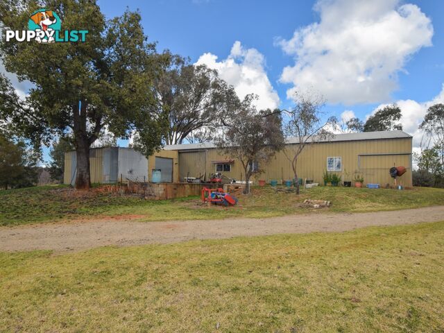 155 Tierneys Road YOUNG NSW 2594