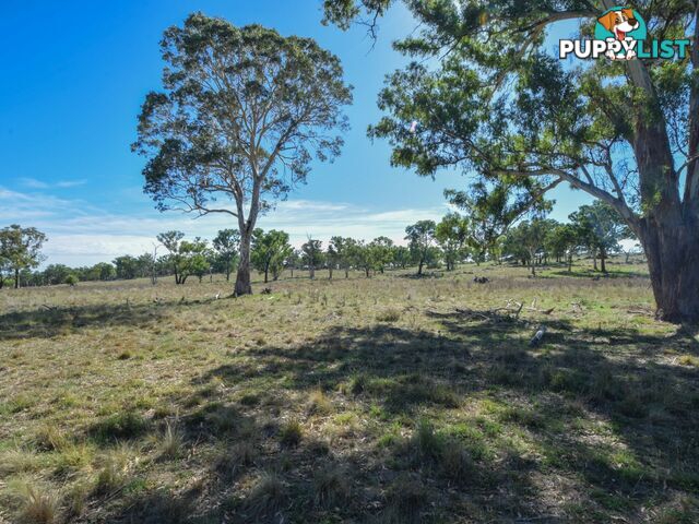 1089 Henry Lawson Way YOUNG NSW 2594