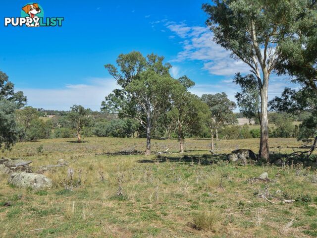 1089 Henry Lawson Way YOUNG NSW 2594