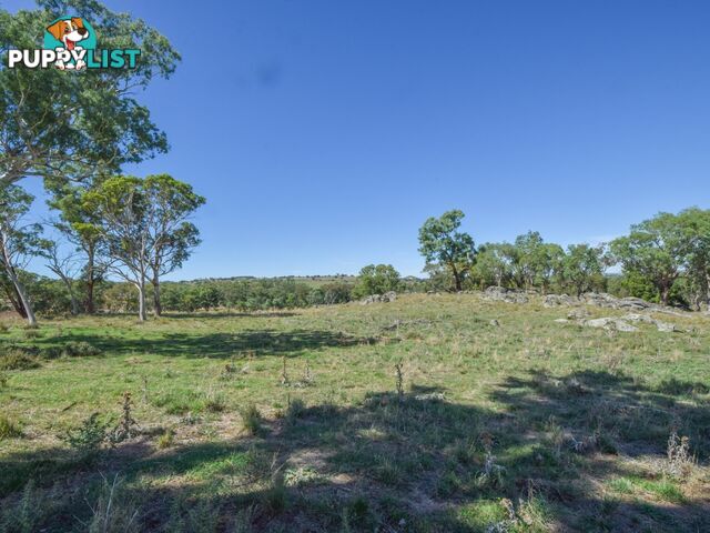 1089 Henry Lawson Way YOUNG NSW 2594