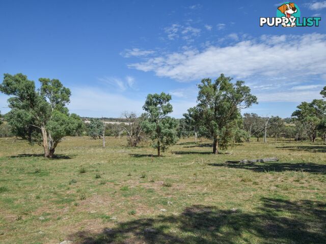 1089 Henry Lawson Way YOUNG NSW 2594