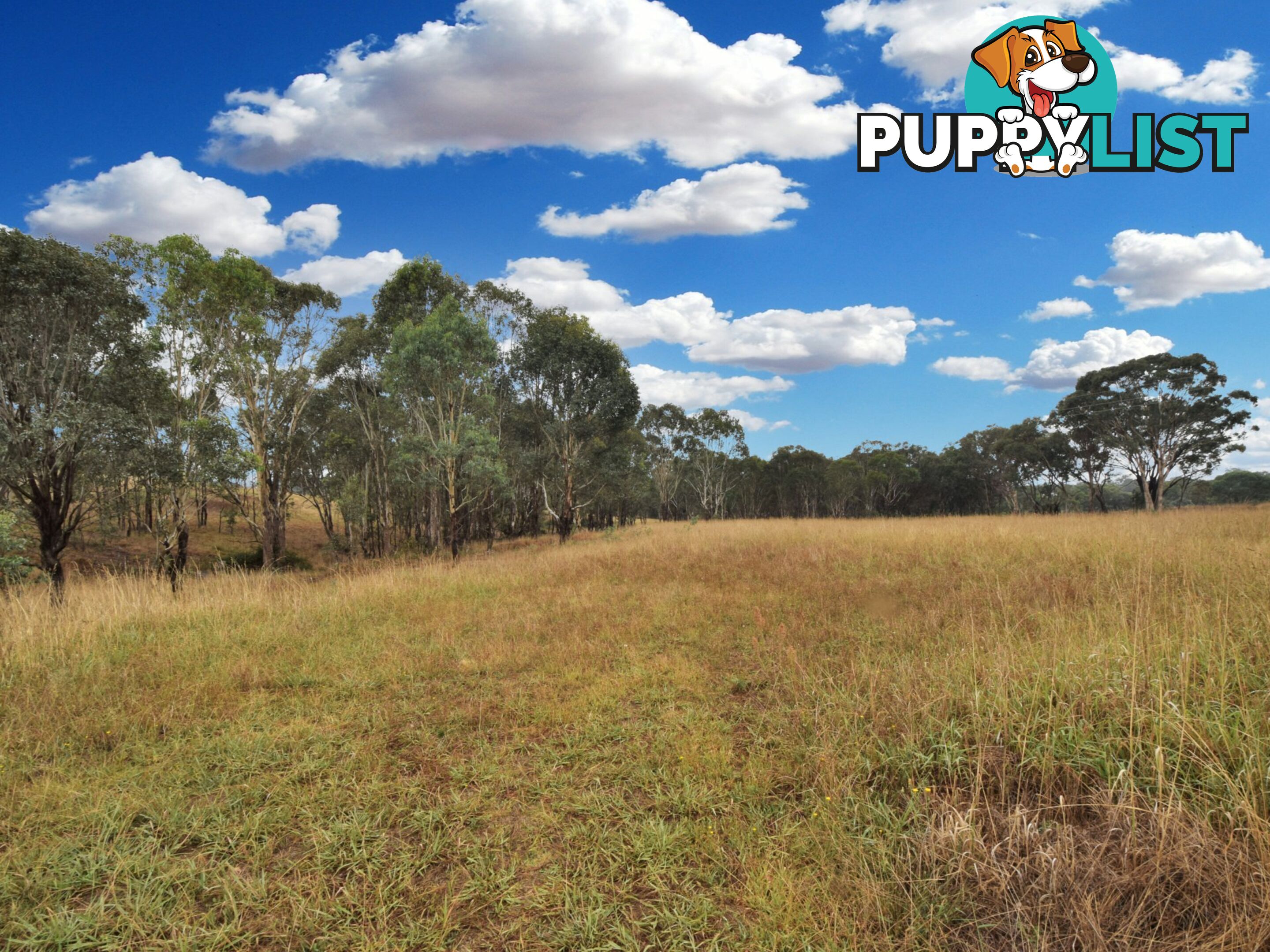 100 Hollands Road YOUNG NSW 2594