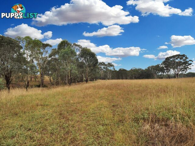 100 Hollands Road YOUNG NSW 2594