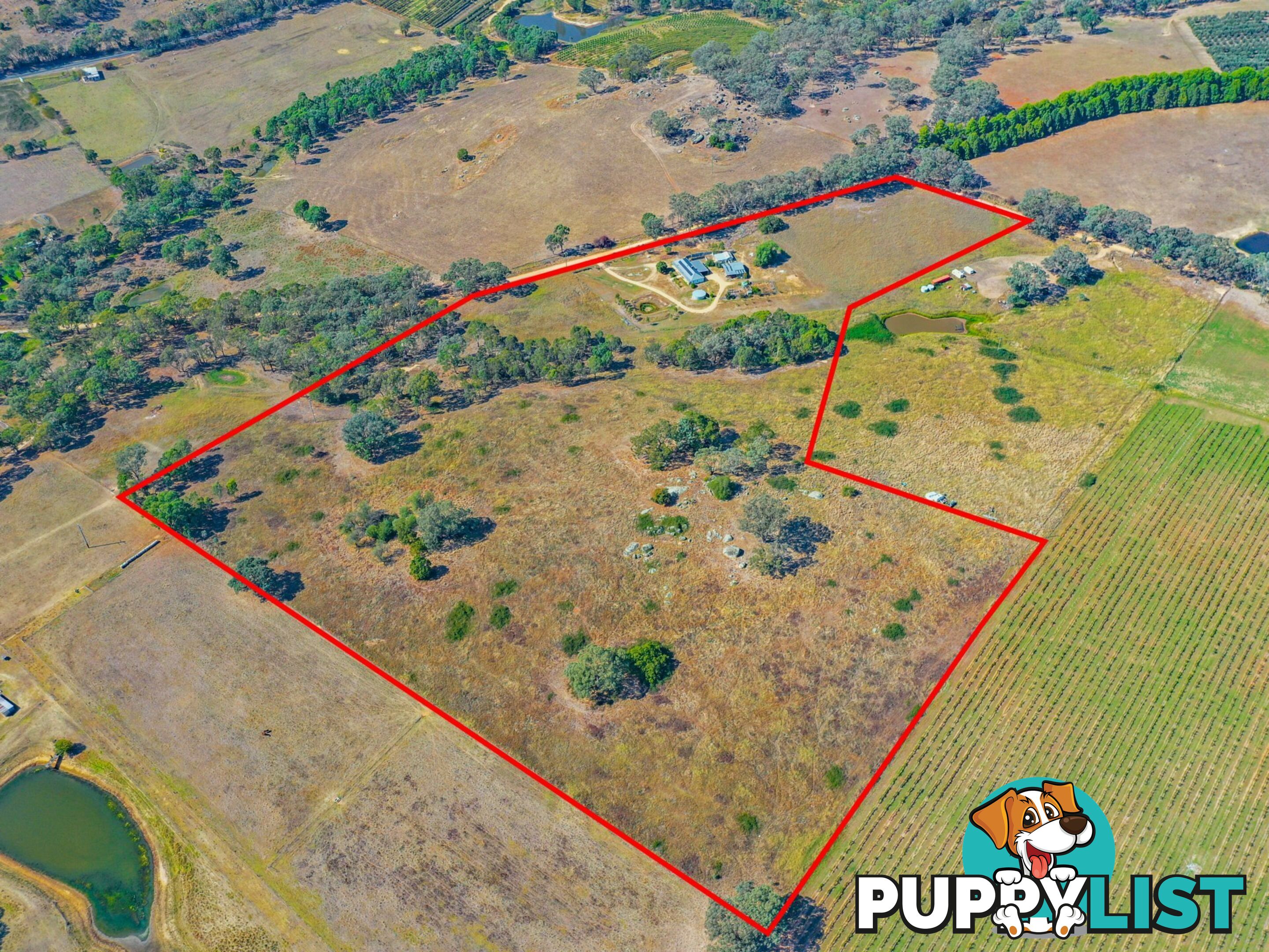 100 Hollands Road YOUNG NSW 2594