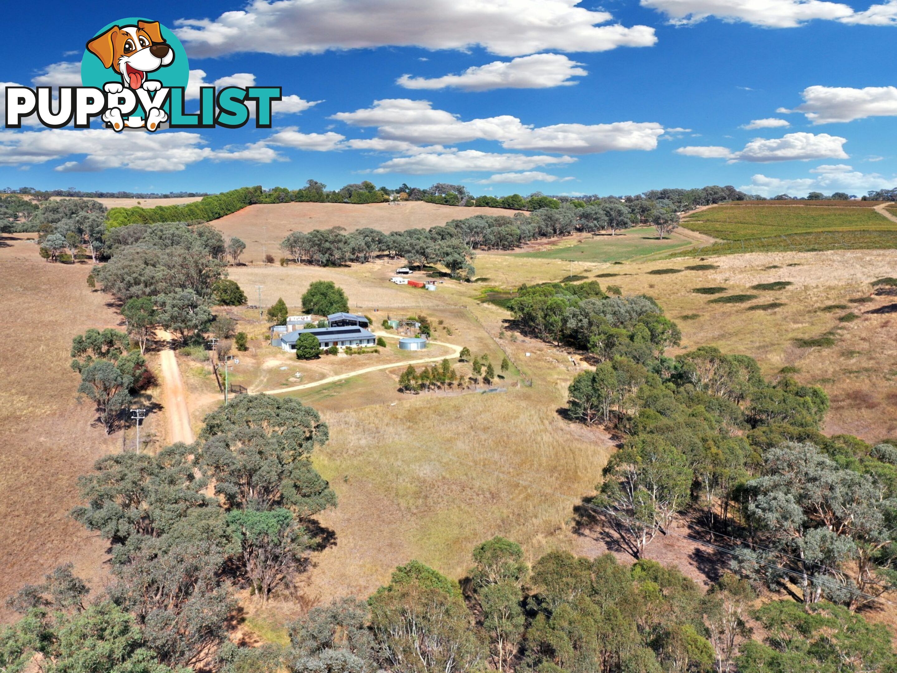 100 Hollands Road YOUNG NSW 2594
