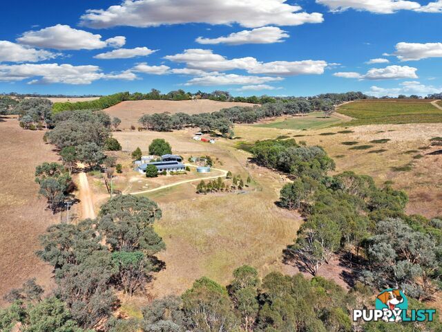 100 Hollands Road YOUNG NSW 2594