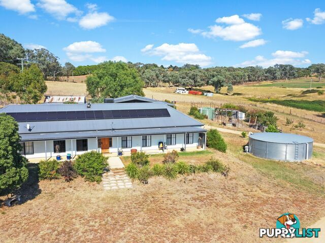 100 Hollands Road YOUNG NSW 2594