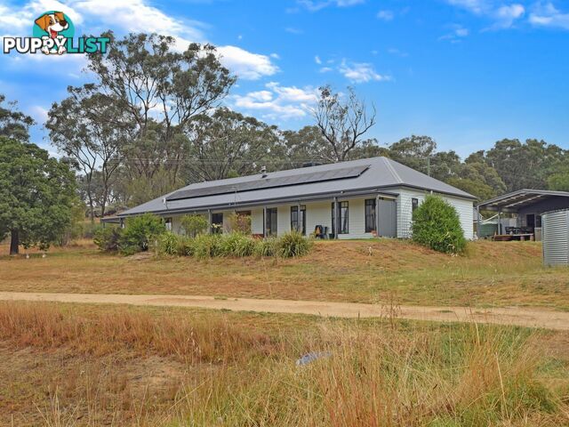 100 Hollands Road YOUNG NSW 2594