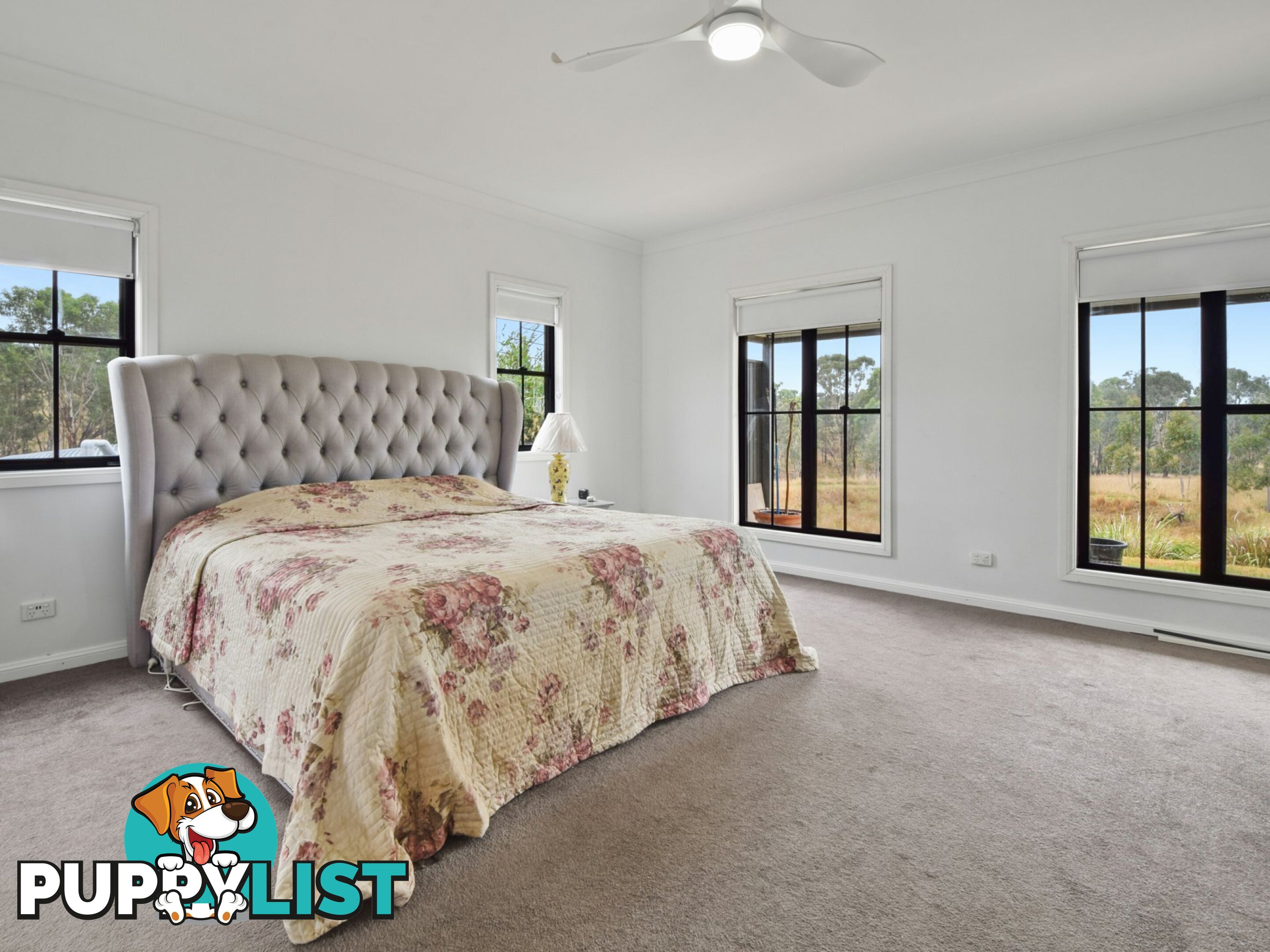 100 Hollands Road YOUNG NSW 2594