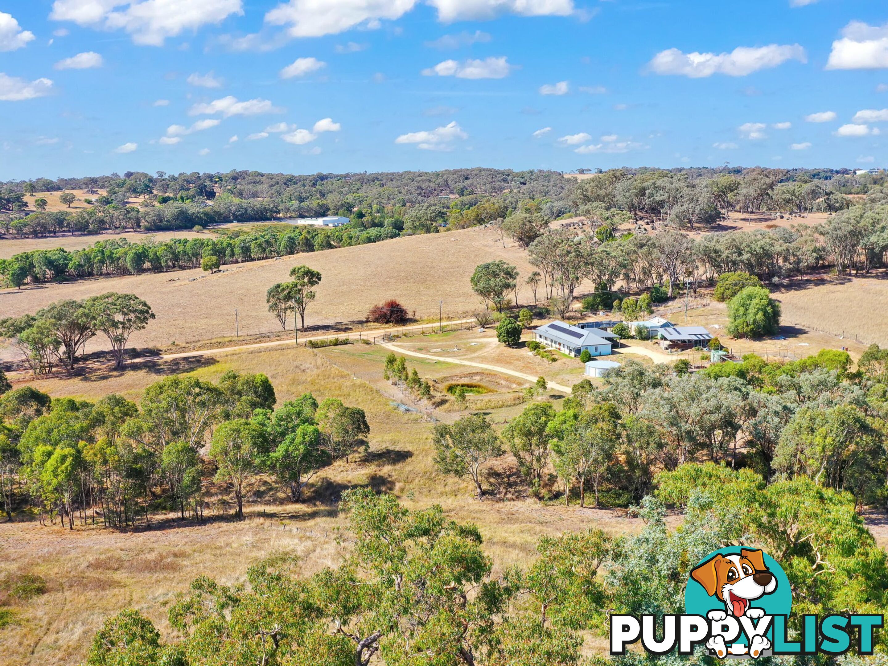 100 Hollands Road YOUNG NSW 2594