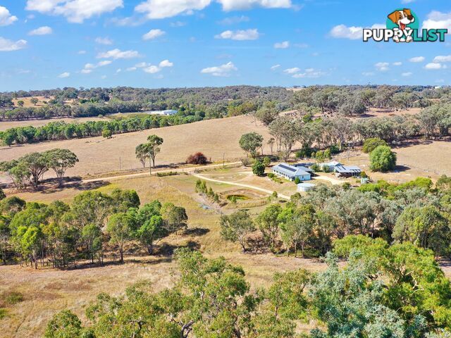 100 Hollands Road YOUNG NSW 2594