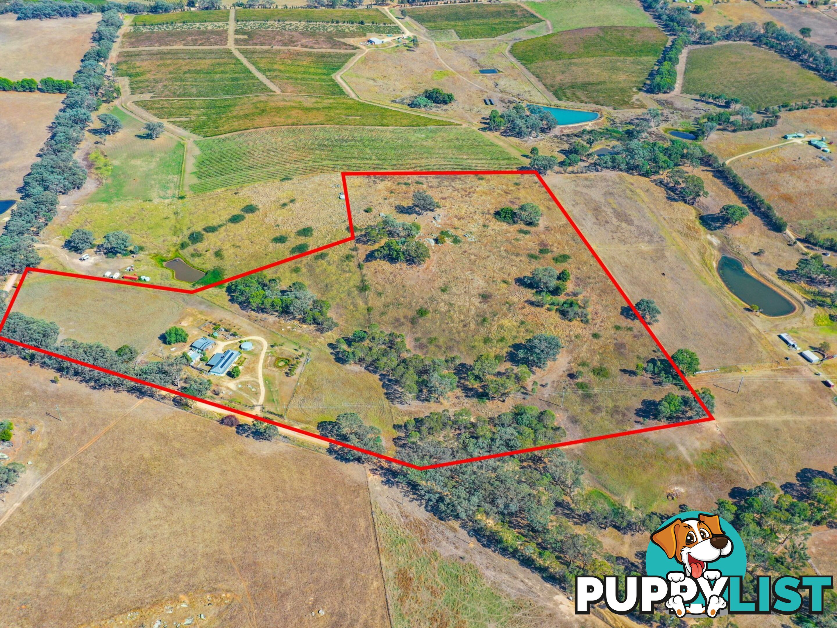 100 Hollands Road YOUNG NSW 2594