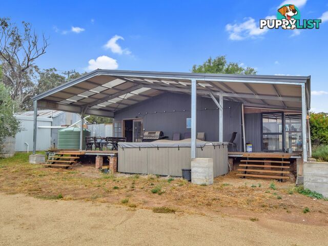 100 Hollands Road YOUNG NSW 2594