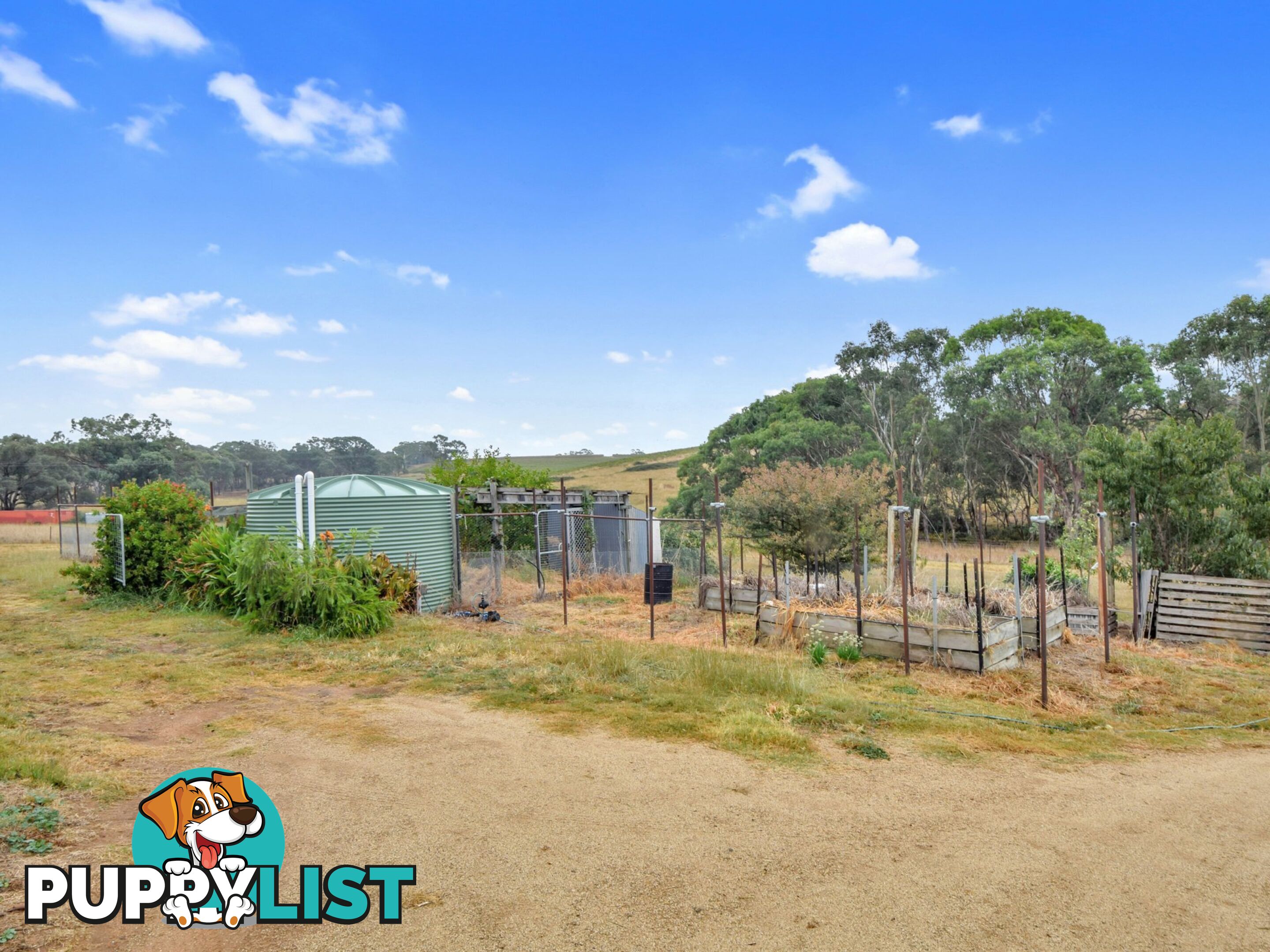 100 Hollands Road YOUNG NSW 2594