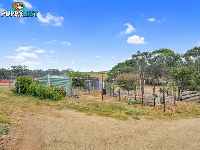 100 Hollands Road YOUNG NSW 2594