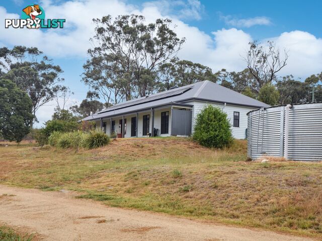 100 Hollands Road YOUNG NSW 2594