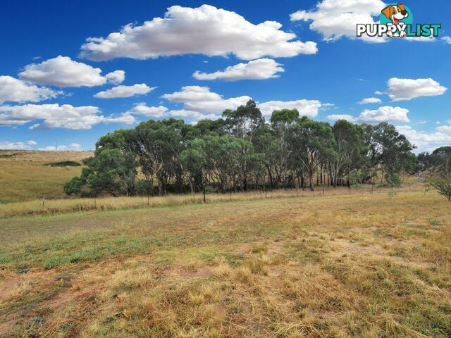 100 Hollands Road YOUNG NSW 2594