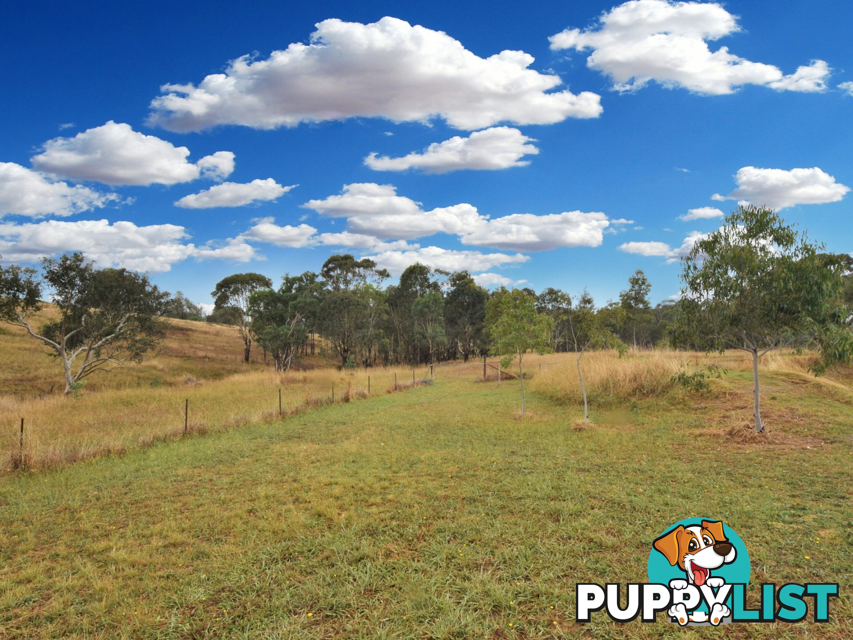 100 Hollands Road YOUNG NSW 2594