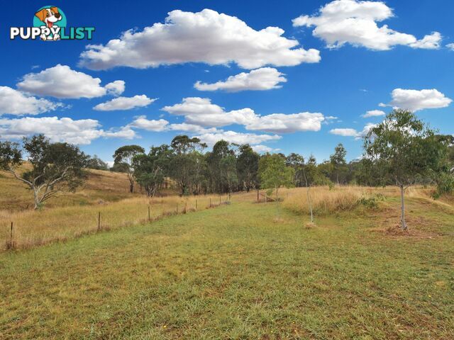 100 Hollands Road YOUNG NSW 2594