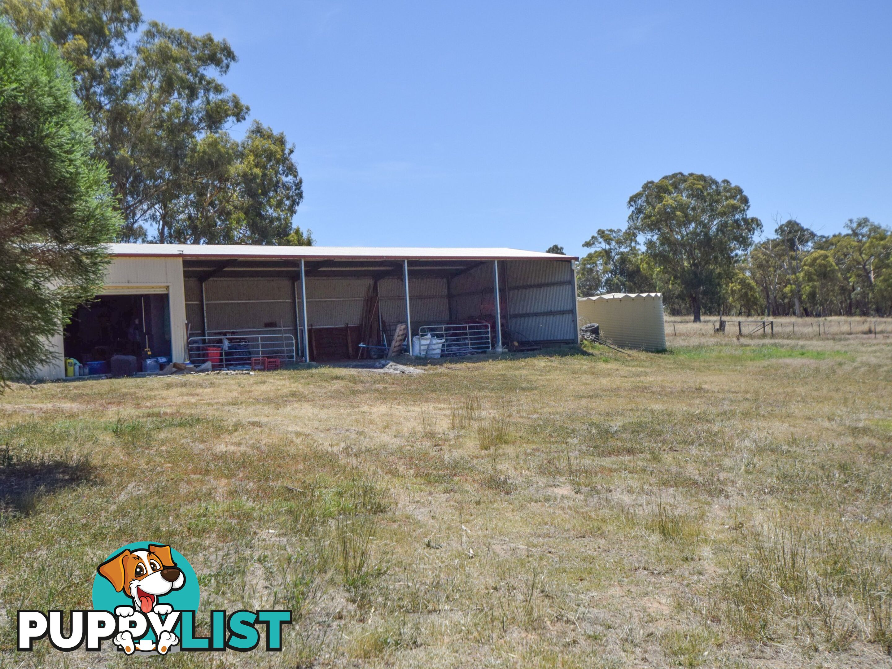 103 Patterson Lane YOUNG NSW 2594