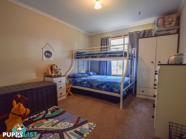 86 Fowler Street (Monteagle) YOUNG NSW 2594