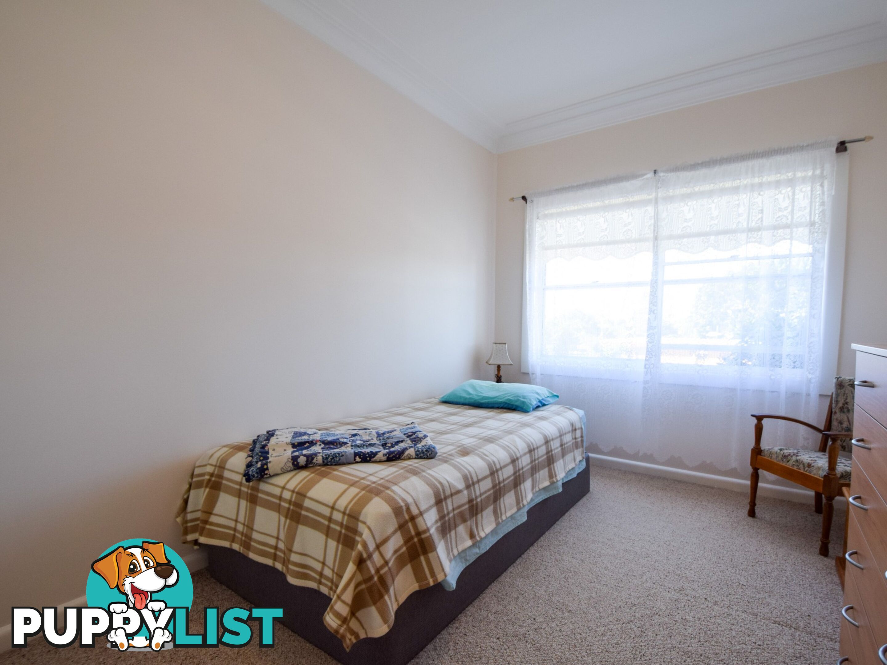 21 White Street YOUNG NSW 2594