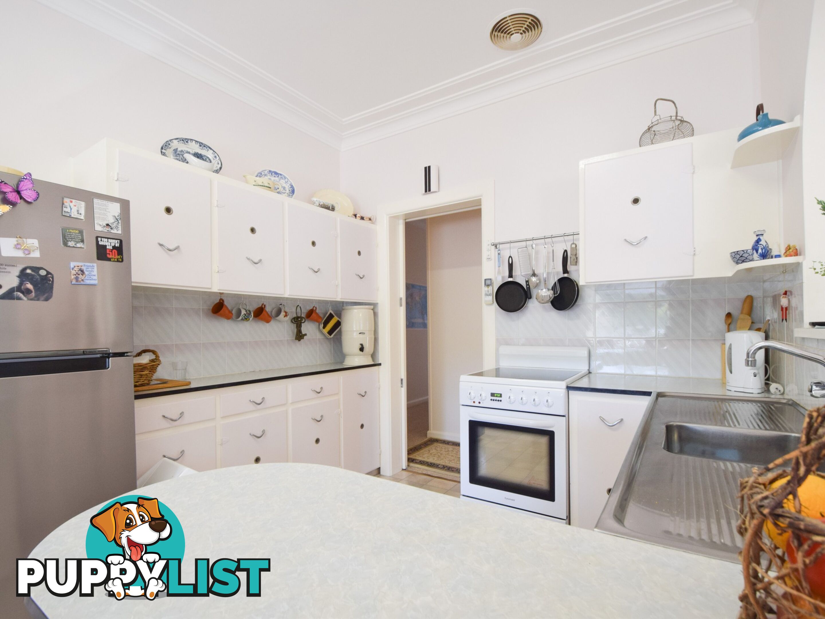 21 White Street YOUNG NSW 2594