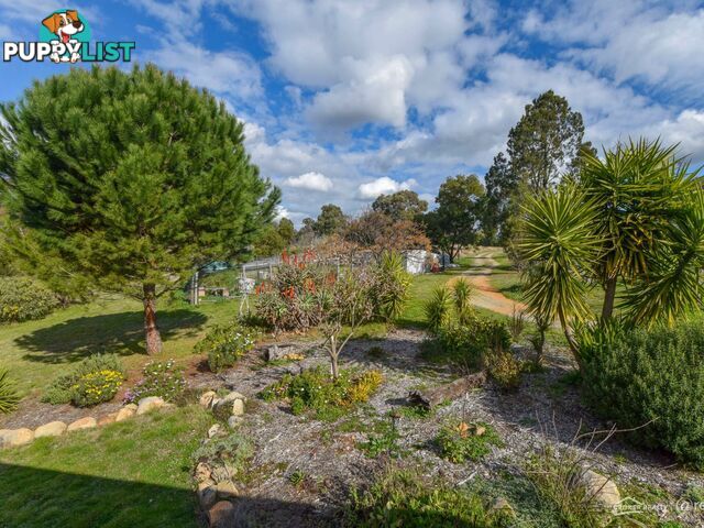 529 Karoopa Lane CROWTHER NSW 2803