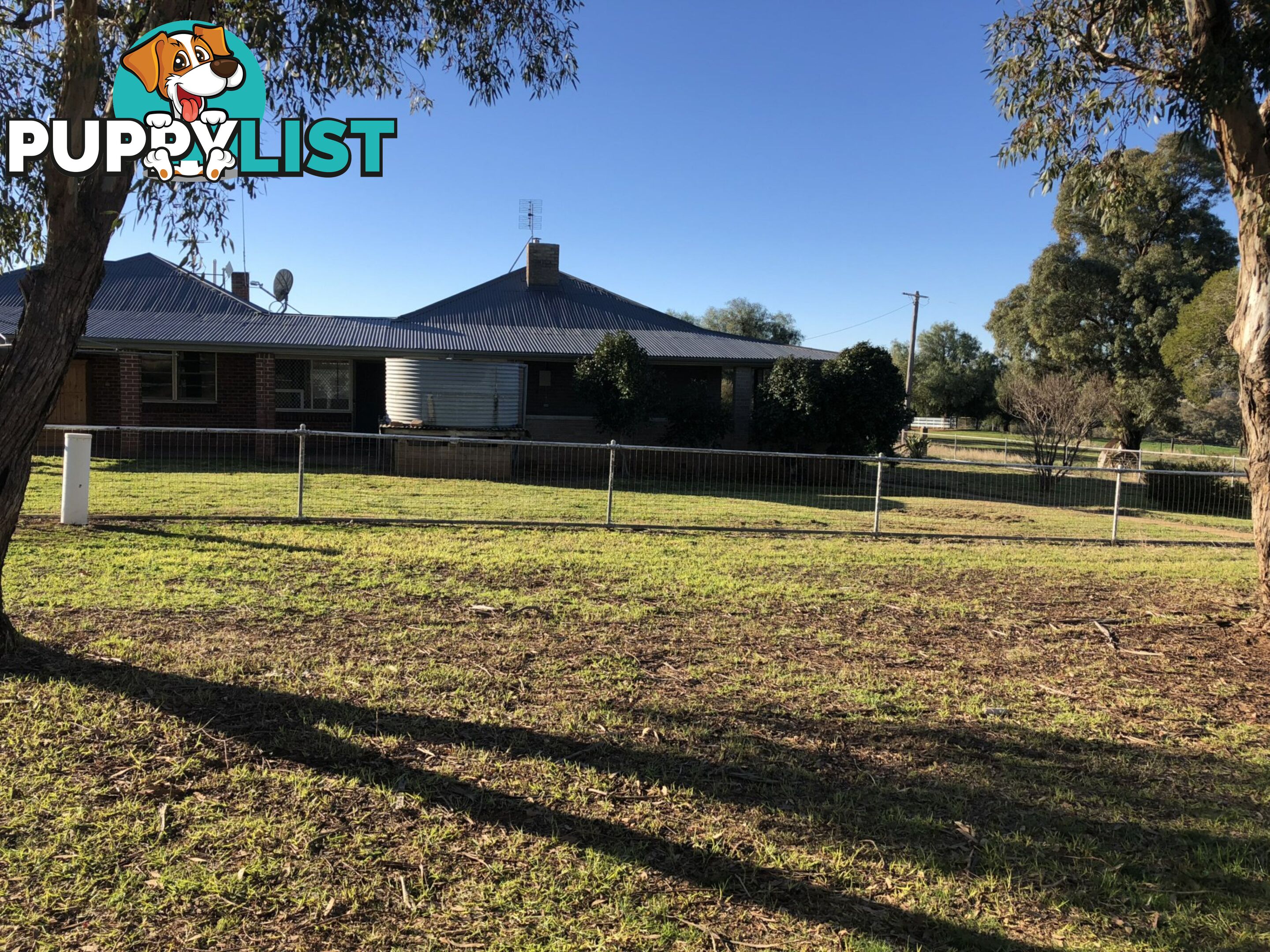 130 Bendles Lane MONTEAGLE NSW 2594