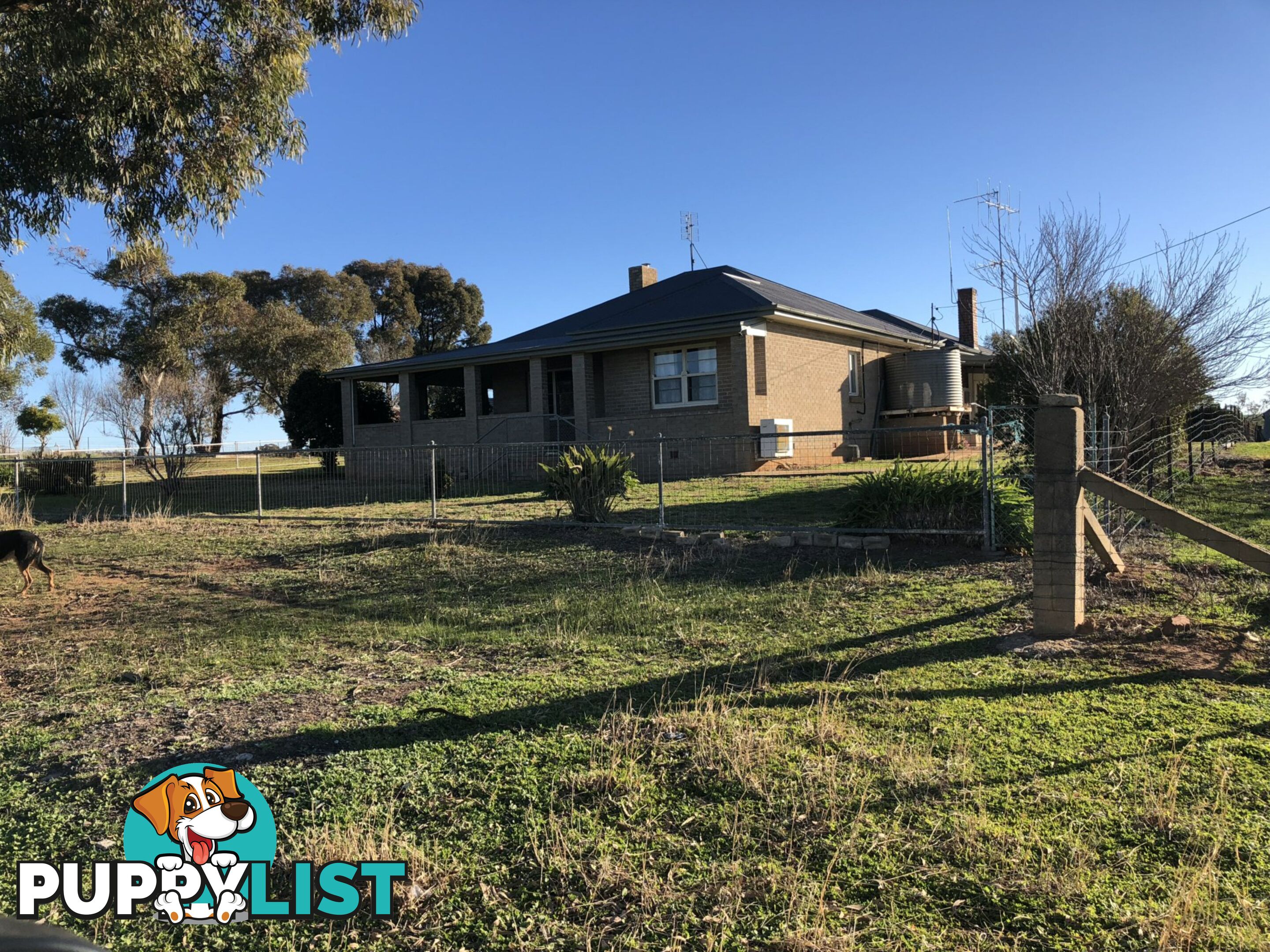 130 Bendles Lane MONTEAGLE NSW 2594