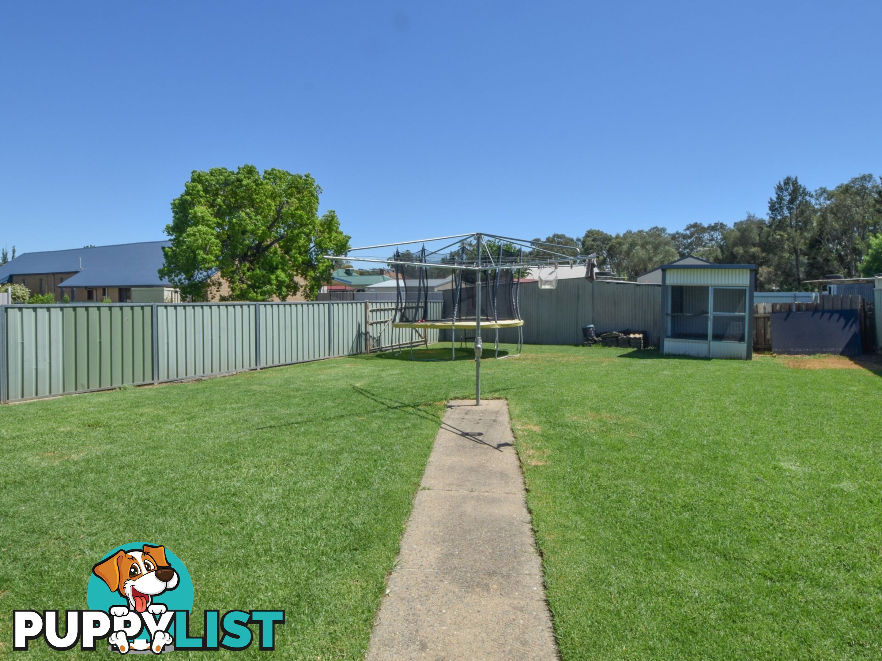 29 Gordon Street YOUNG NSW 2594