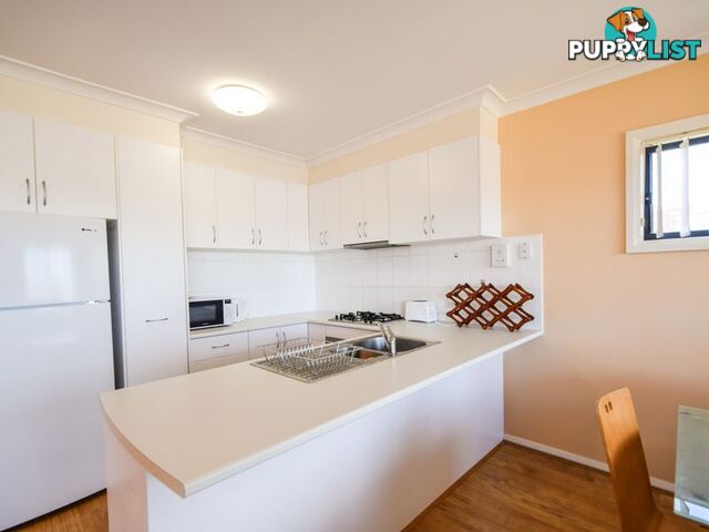 6/157 William Street YOUNG NSW 2594