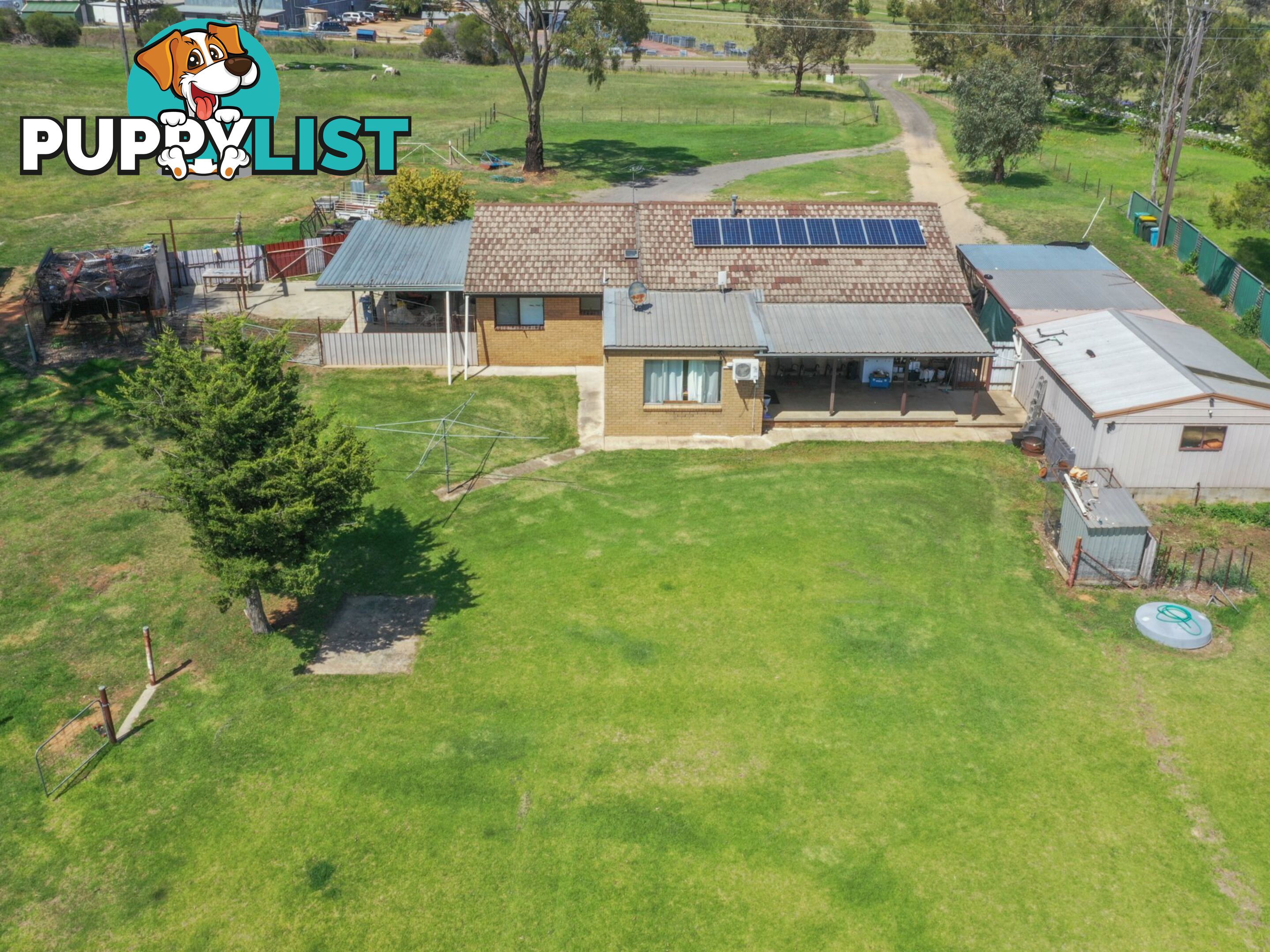 3290 Moppity Road YOUNG NSW 2594