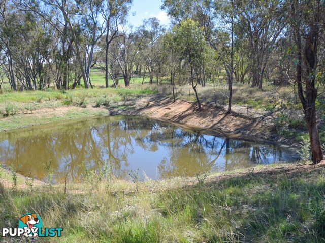 3290 Moppity Road YOUNG NSW 2594