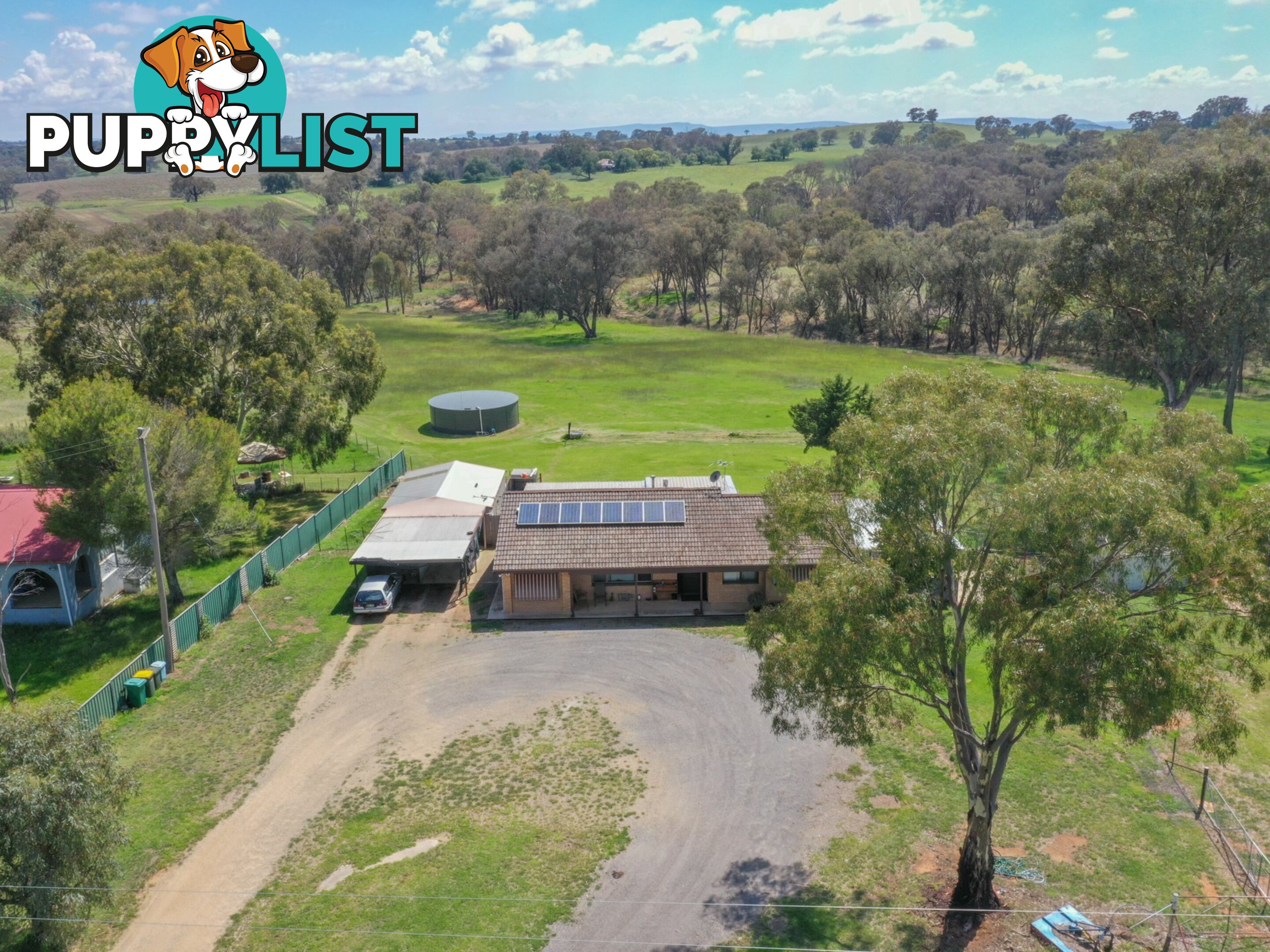 3290 Moppity Road YOUNG NSW 2594