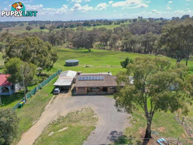 3290 Moppity Road YOUNG NSW 2594