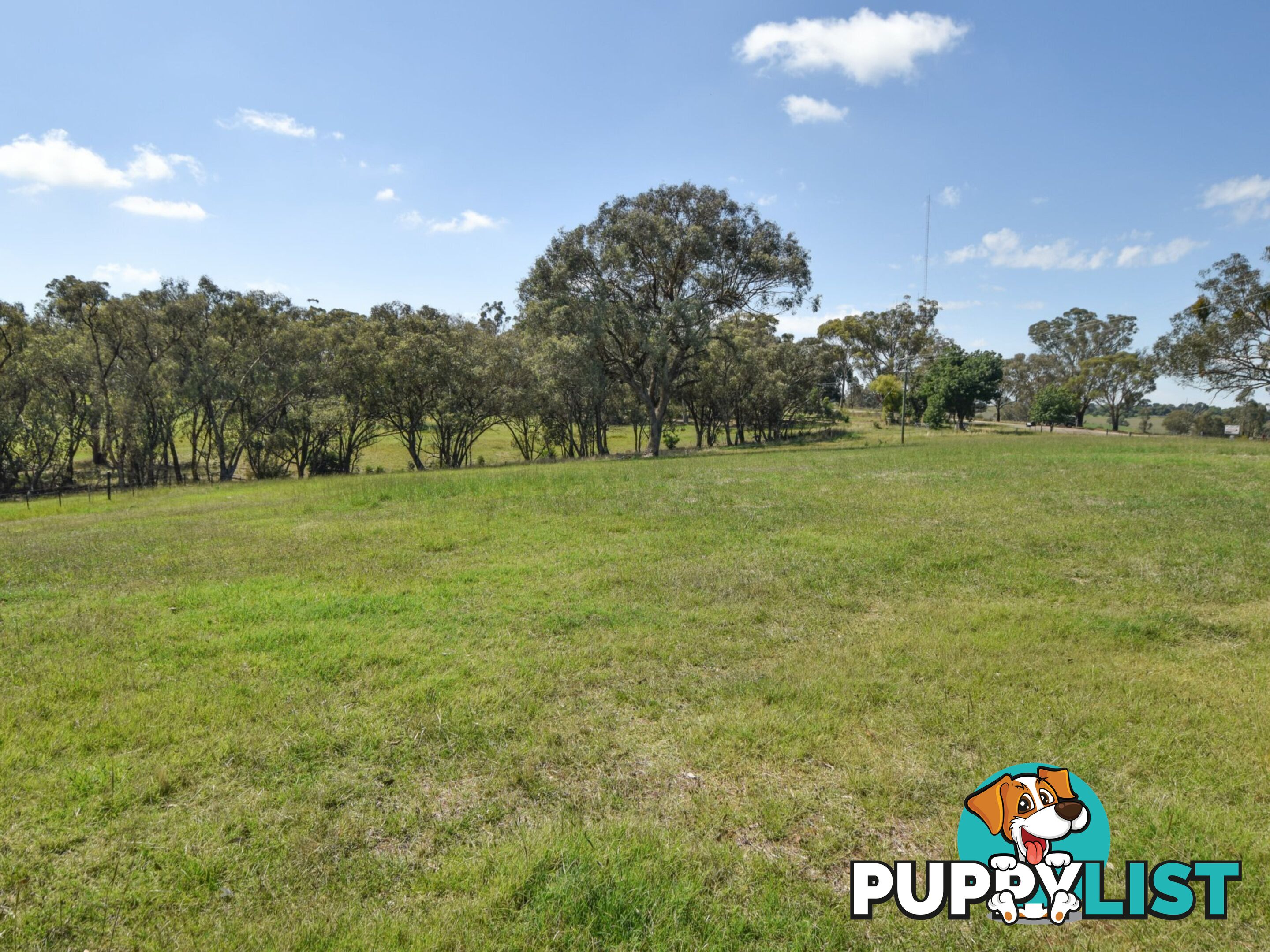 3290 Moppity Road YOUNG NSW 2594