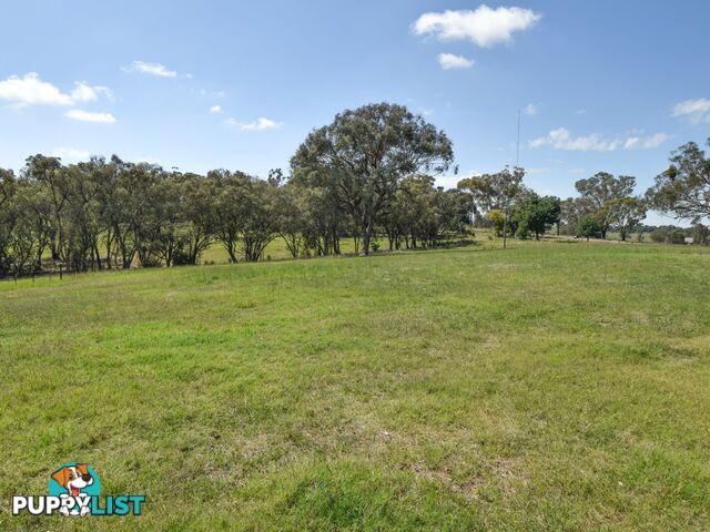 3290 Moppity Road YOUNG NSW 2594