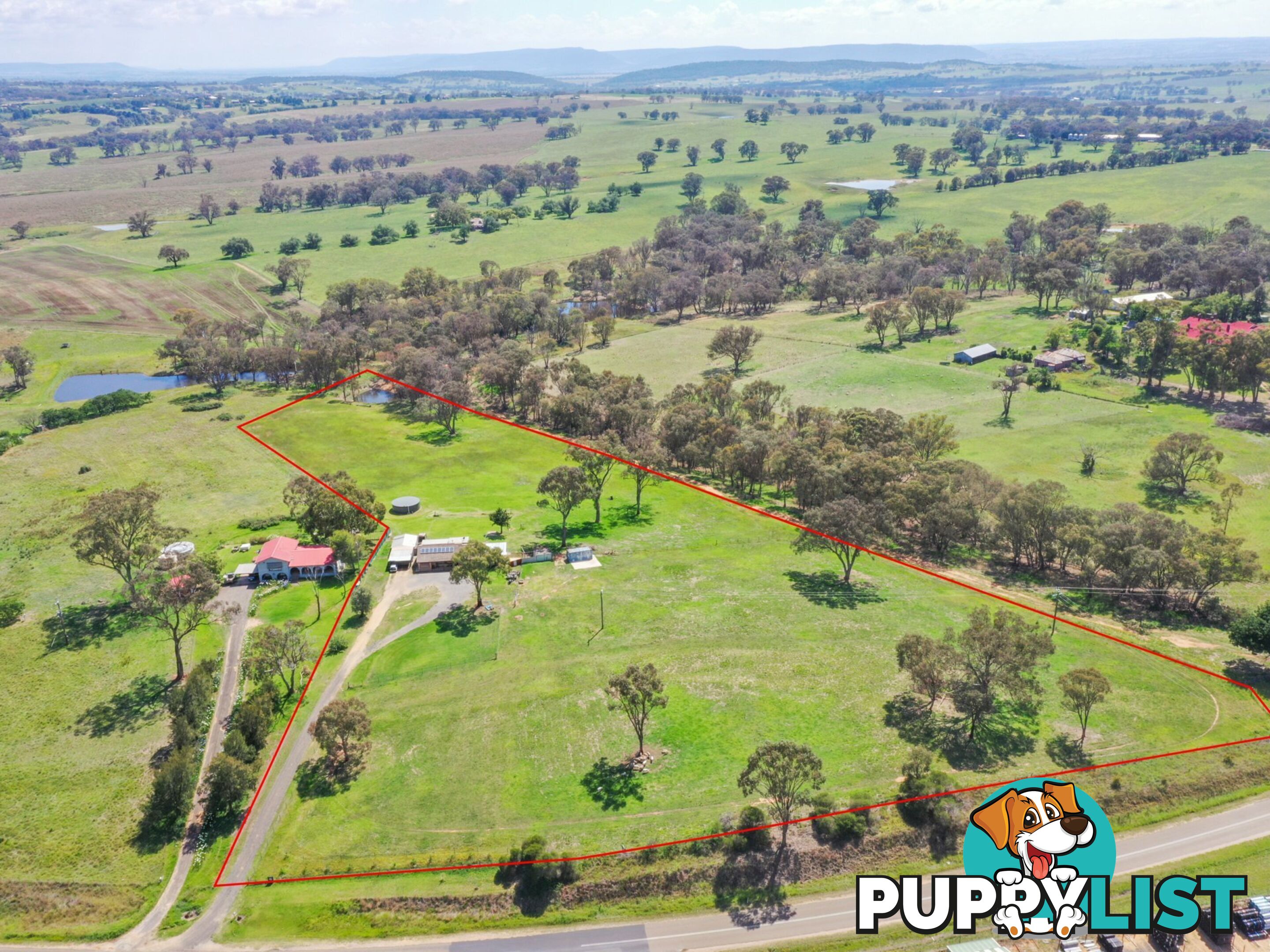 3290 Moppity Road YOUNG NSW 2594