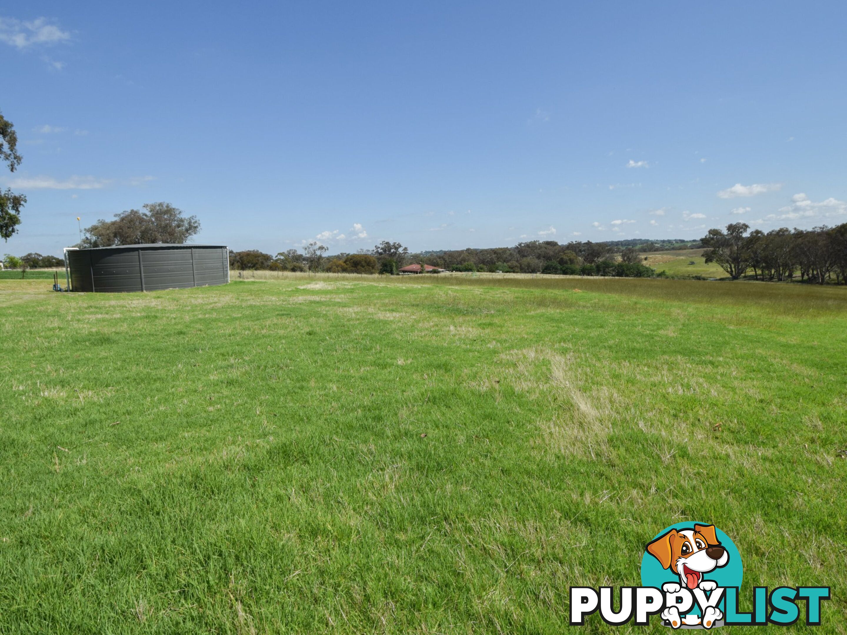 3290 Moppity Road YOUNG NSW 2594