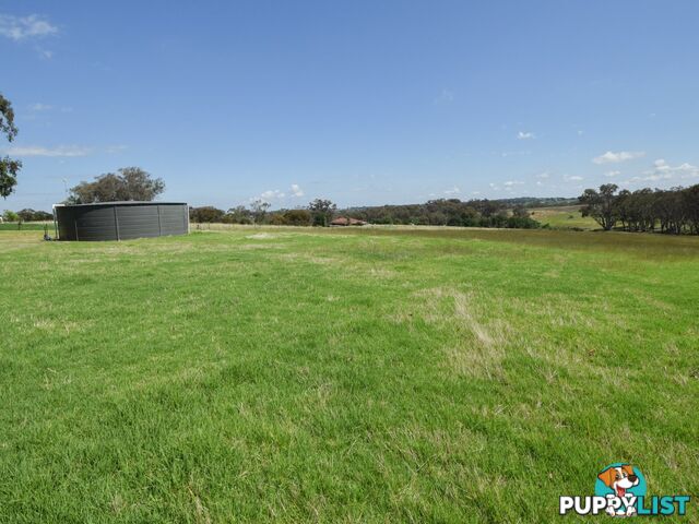 3290 Moppity Road YOUNG NSW 2594