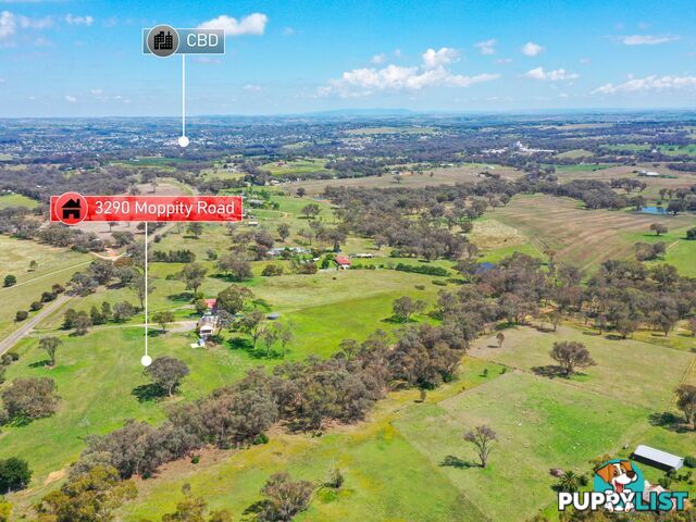 3290 Moppity Road YOUNG NSW 2594