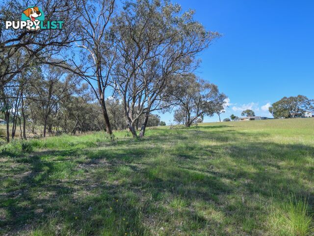 3290 Moppity Road YOUNG NSW 2594