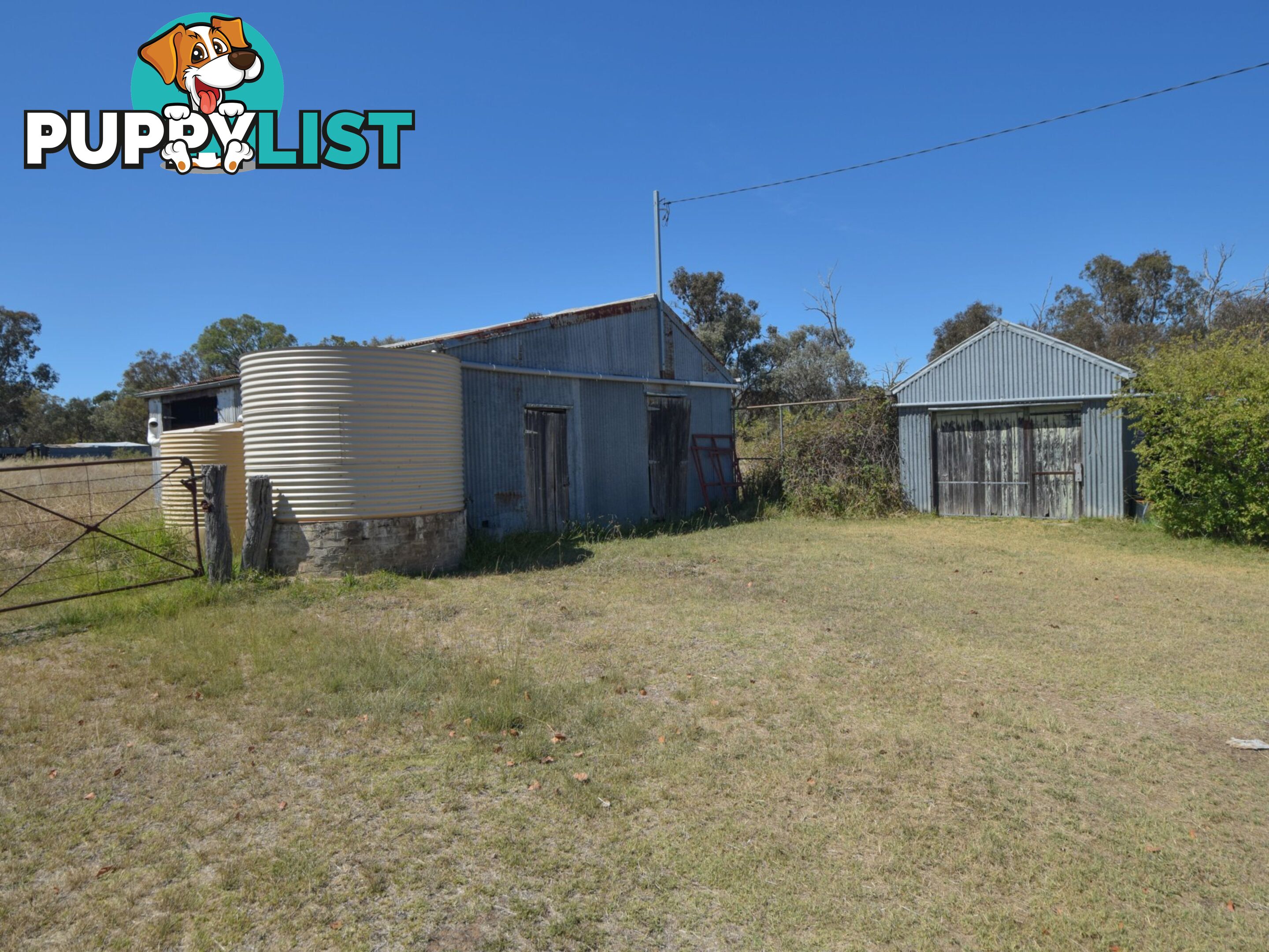 61 Sads Lane YOUNG NSW 2594