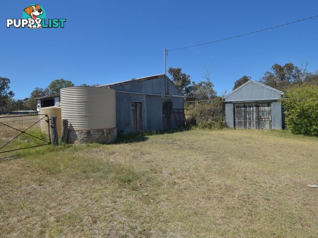 61 Sads Lane YOUNG NSW 2594